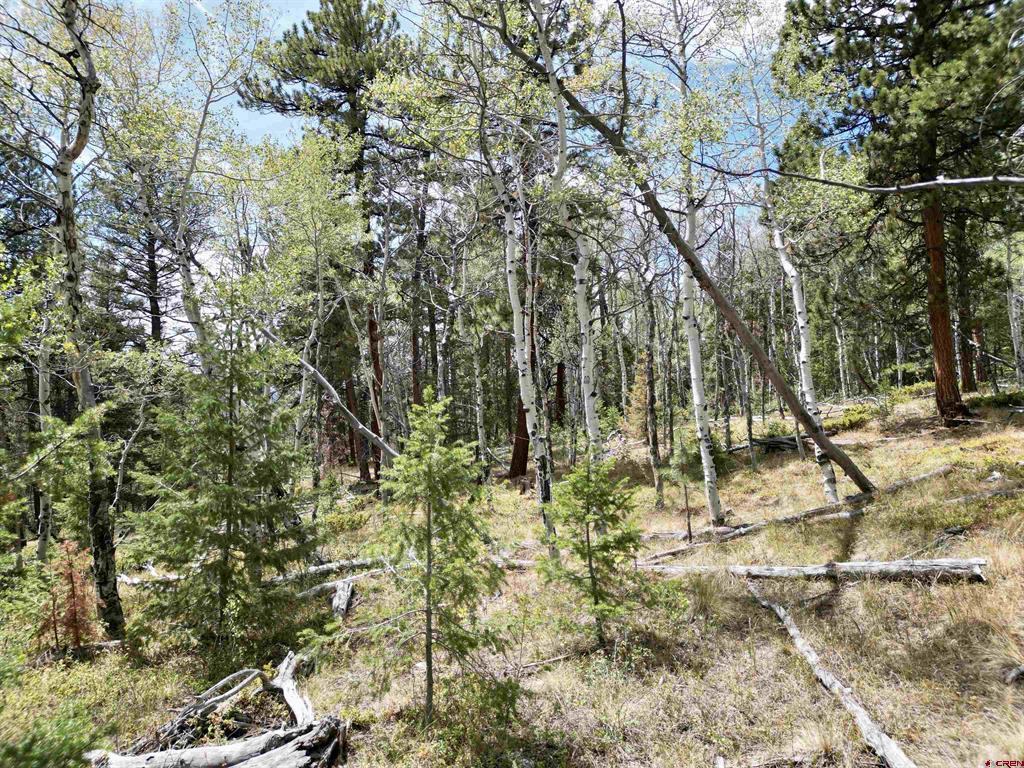 404 Forest Service Road 680.2A