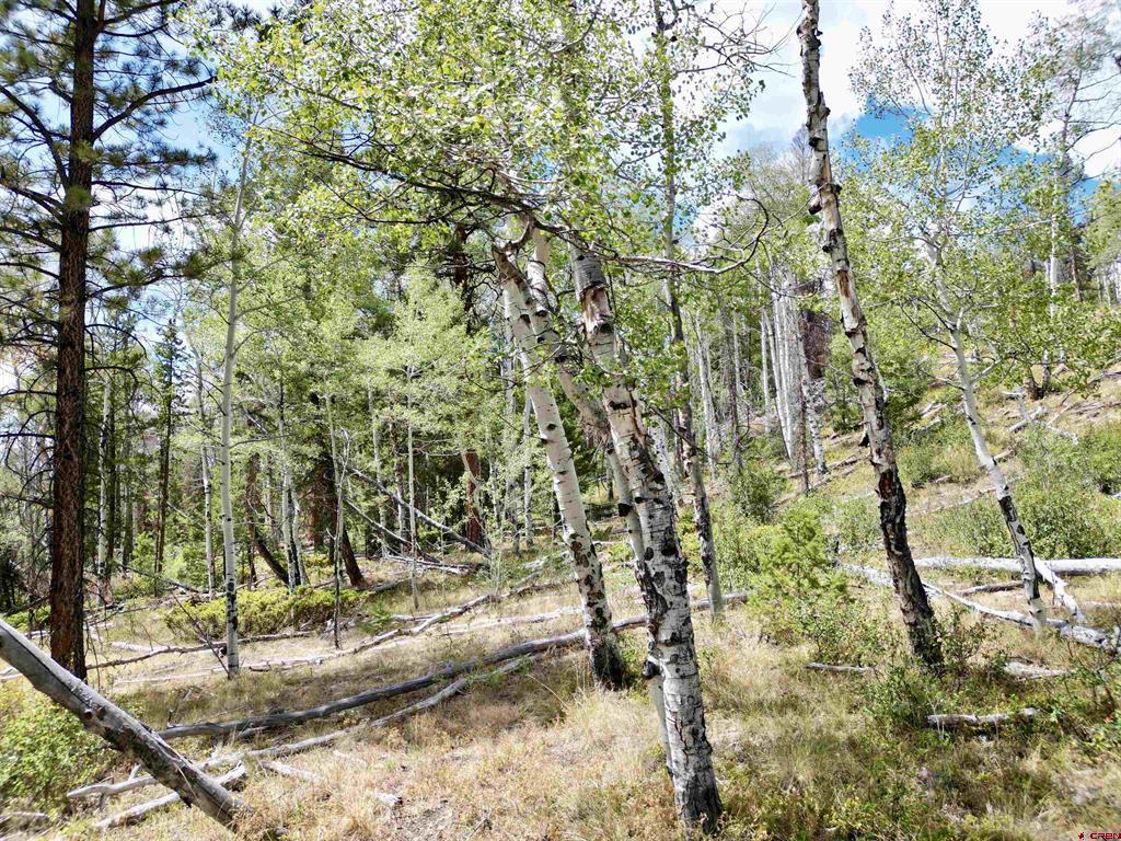 404 Forest Service Road 680.2A