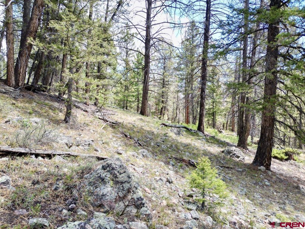 404 Forest Service Road 680.2A