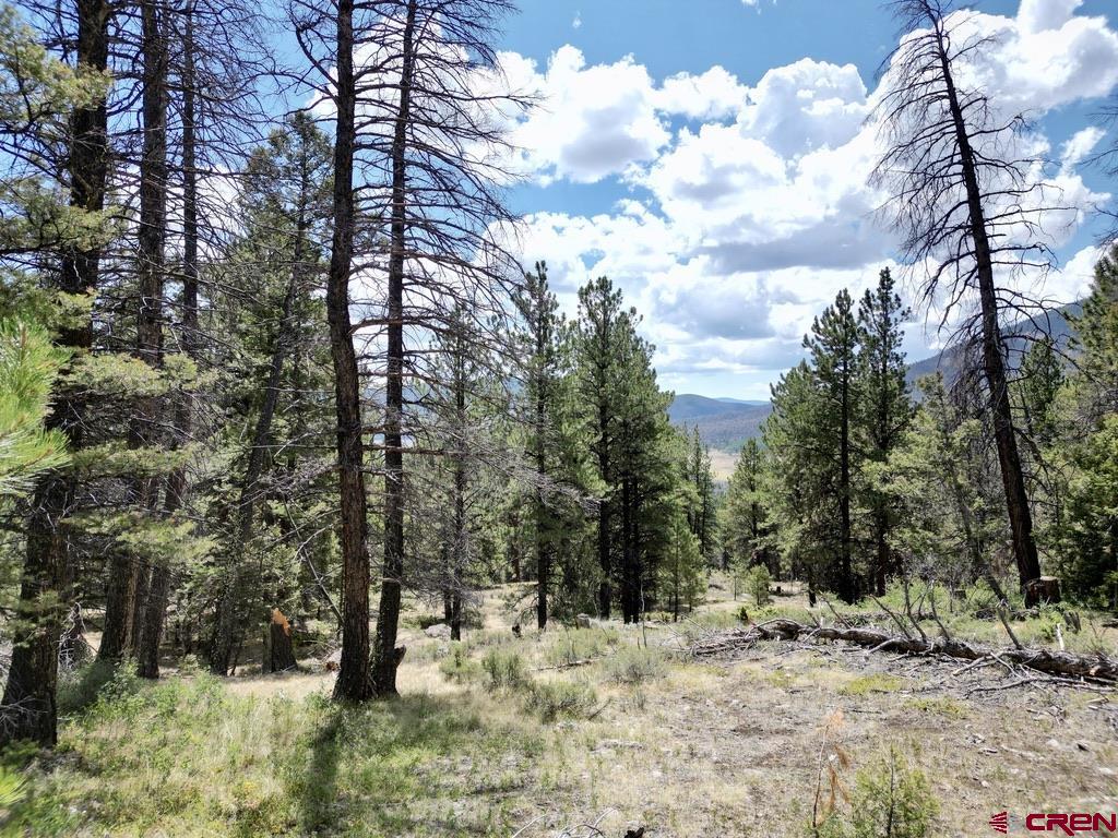 404 Forest Service Road 680.2A