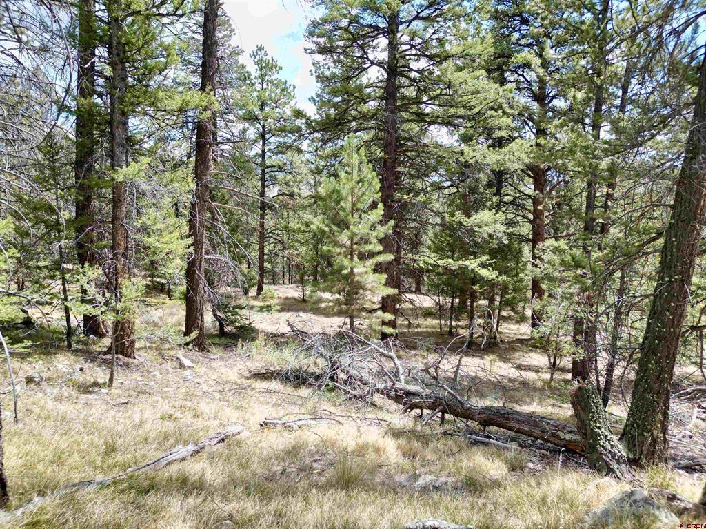 404 Forest Service Road 680.2A