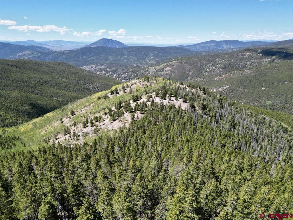 840 Forest Service Road 890