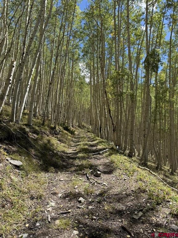 840 Forest Service Road 890