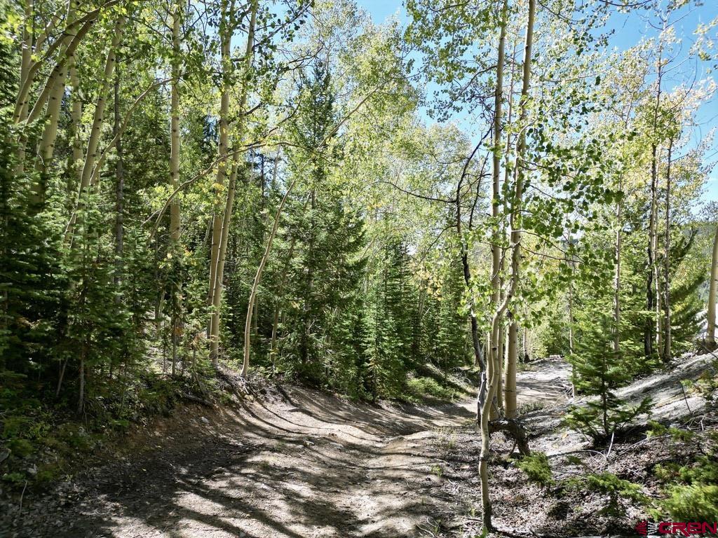 840 Forest Service Road 890