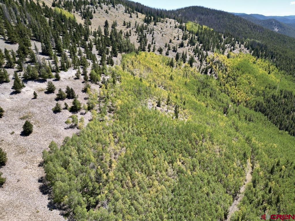 840 Forest Service Road 890