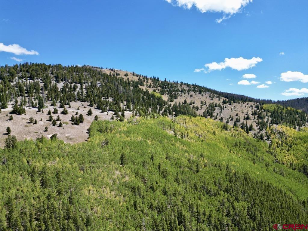 840 Forest Service Road 890