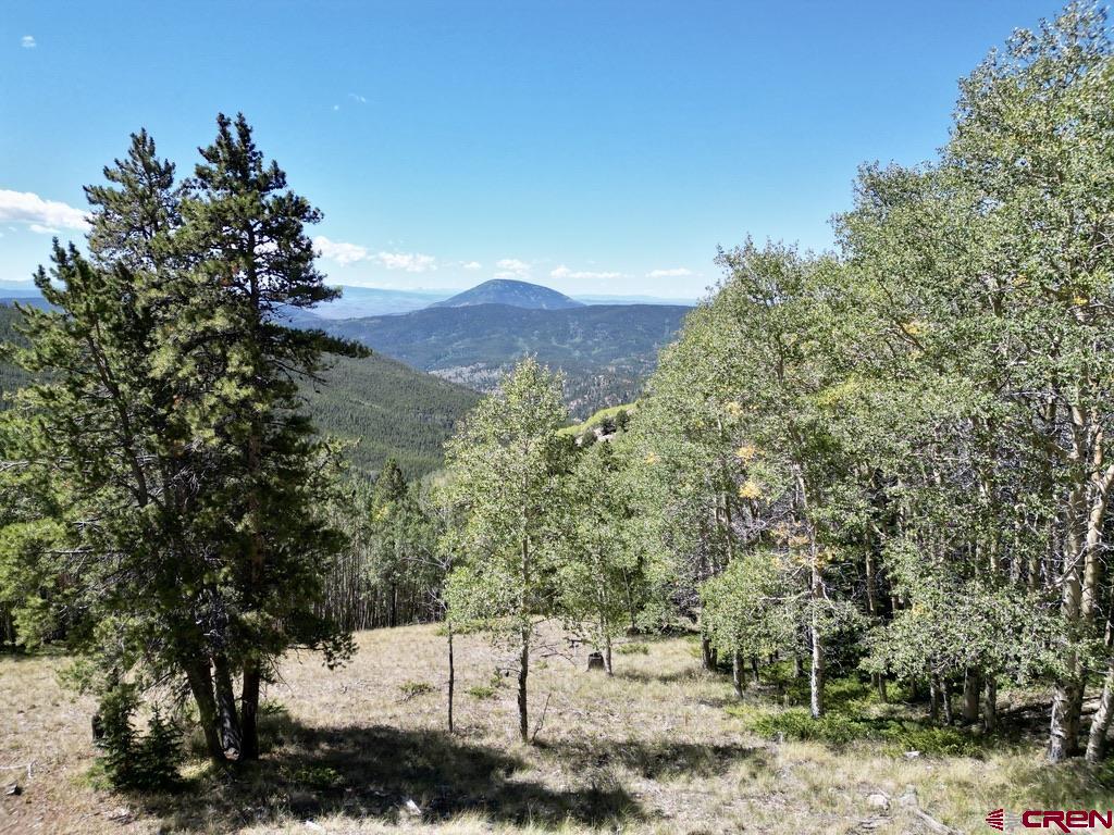840 Forest Service Road 890
