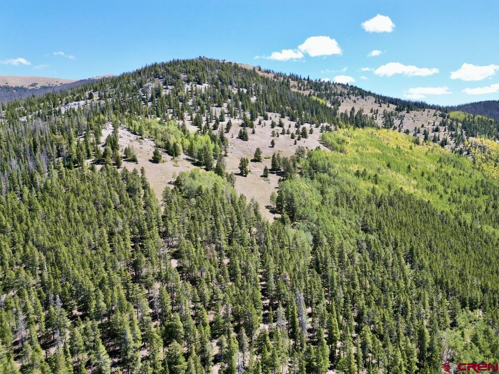 840 Forest Service Road 890