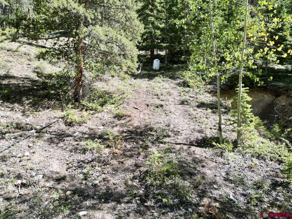 840 Forest Service Road 890