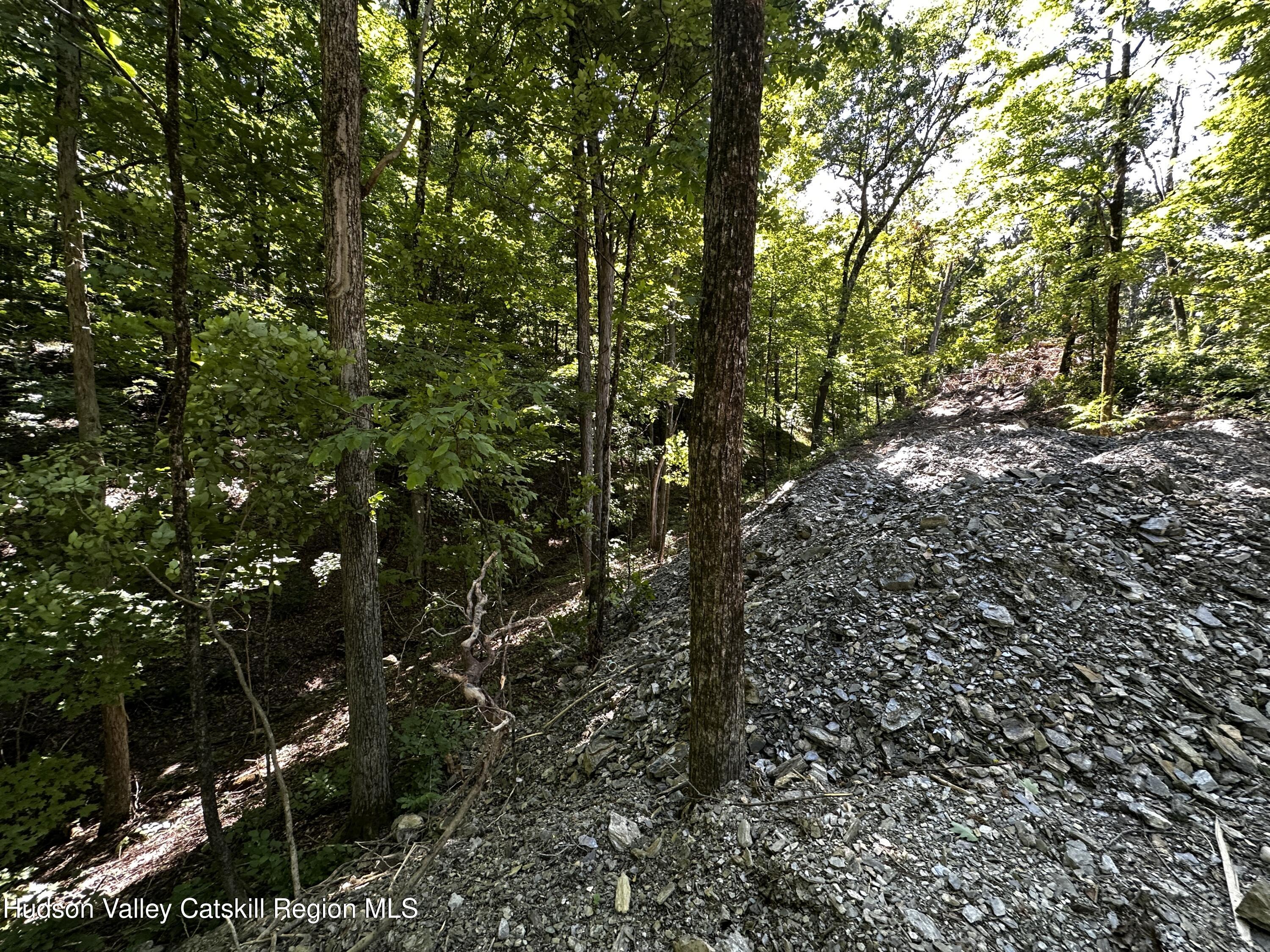 Tbd Creek Road