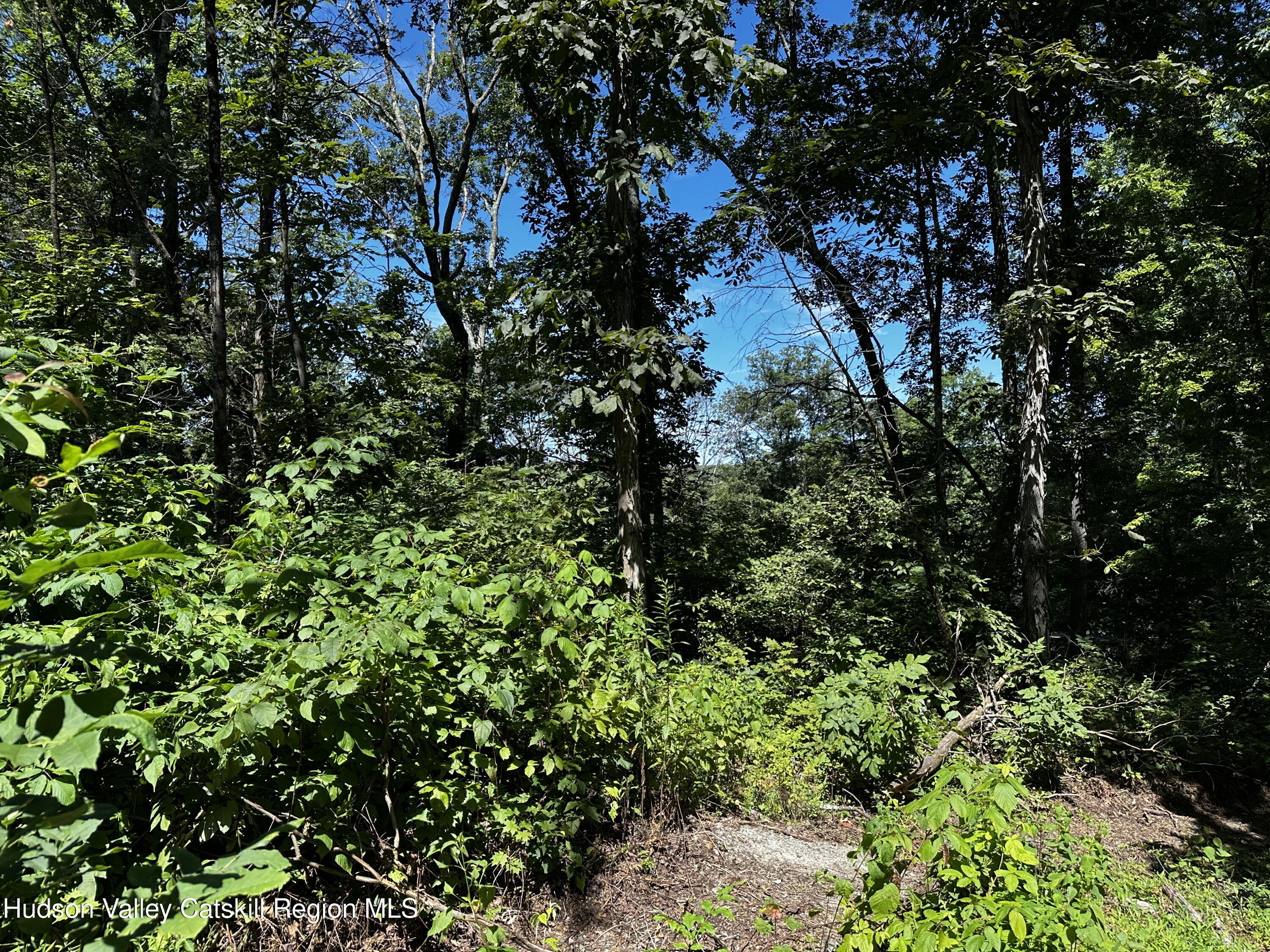 Tbd Creek Road