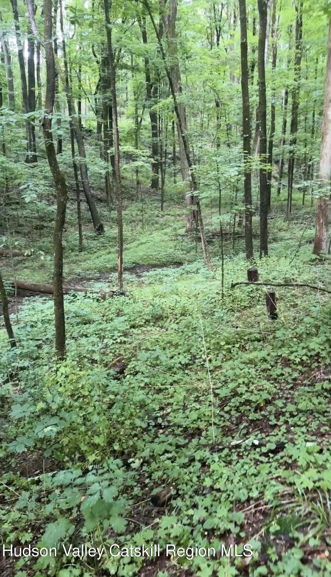 Tbd Creek Road