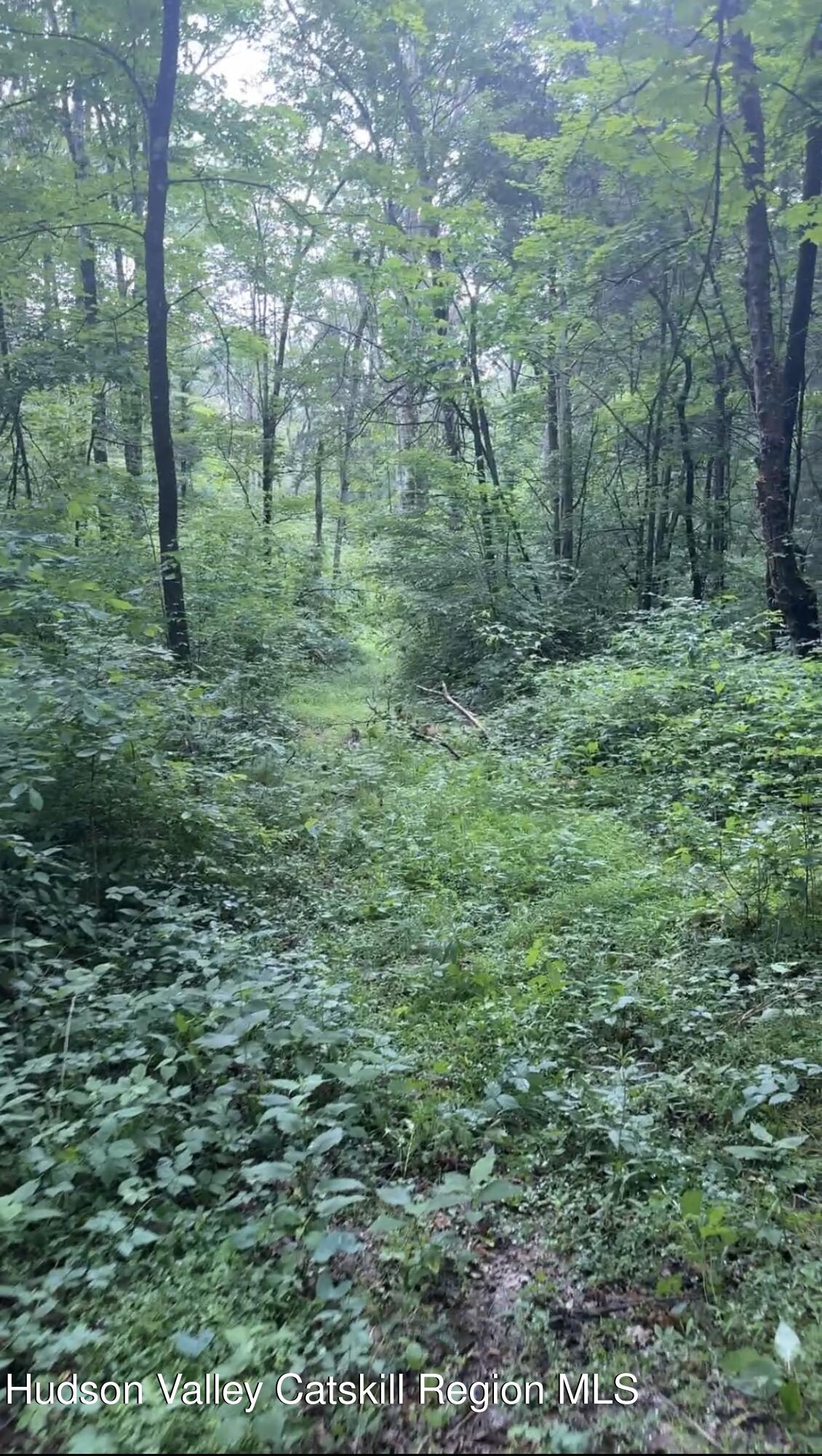 Tbd Creek Road