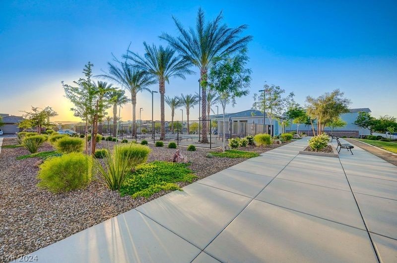 3766 Canis Minor Lane 24104