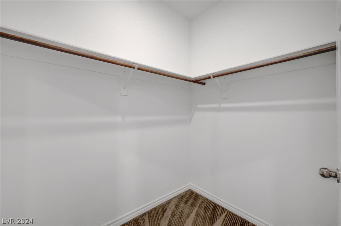 3766 Canis Minor Lane 24104