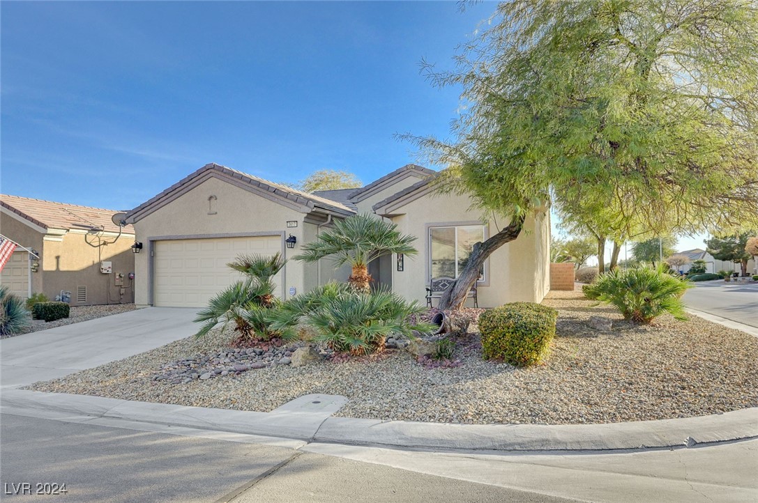 3617 Hammerkop Drive
