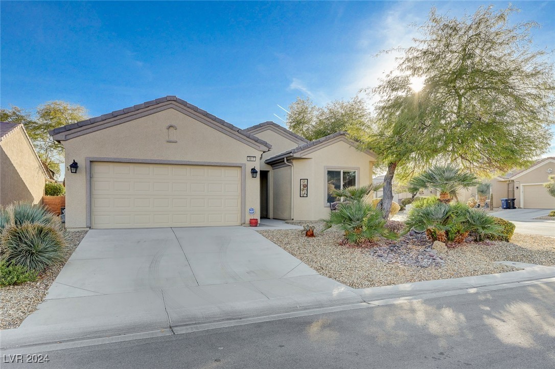 3617 Hammerkop Drive