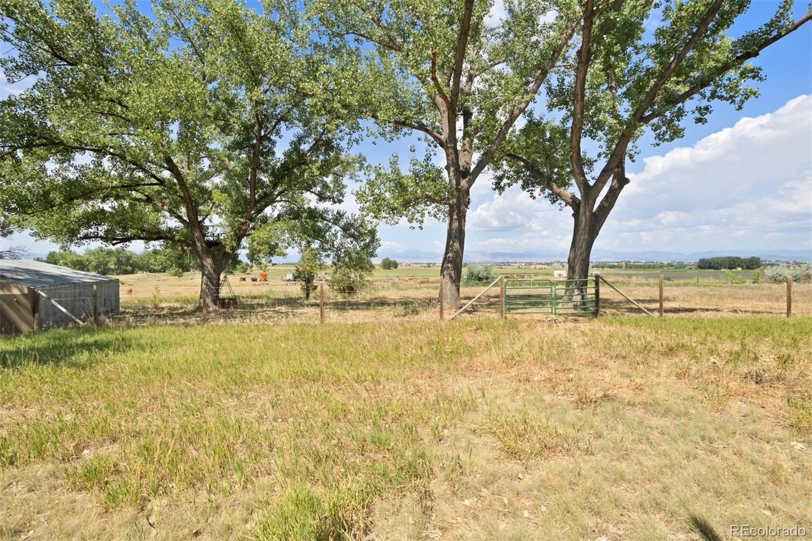 6303 County Road 5