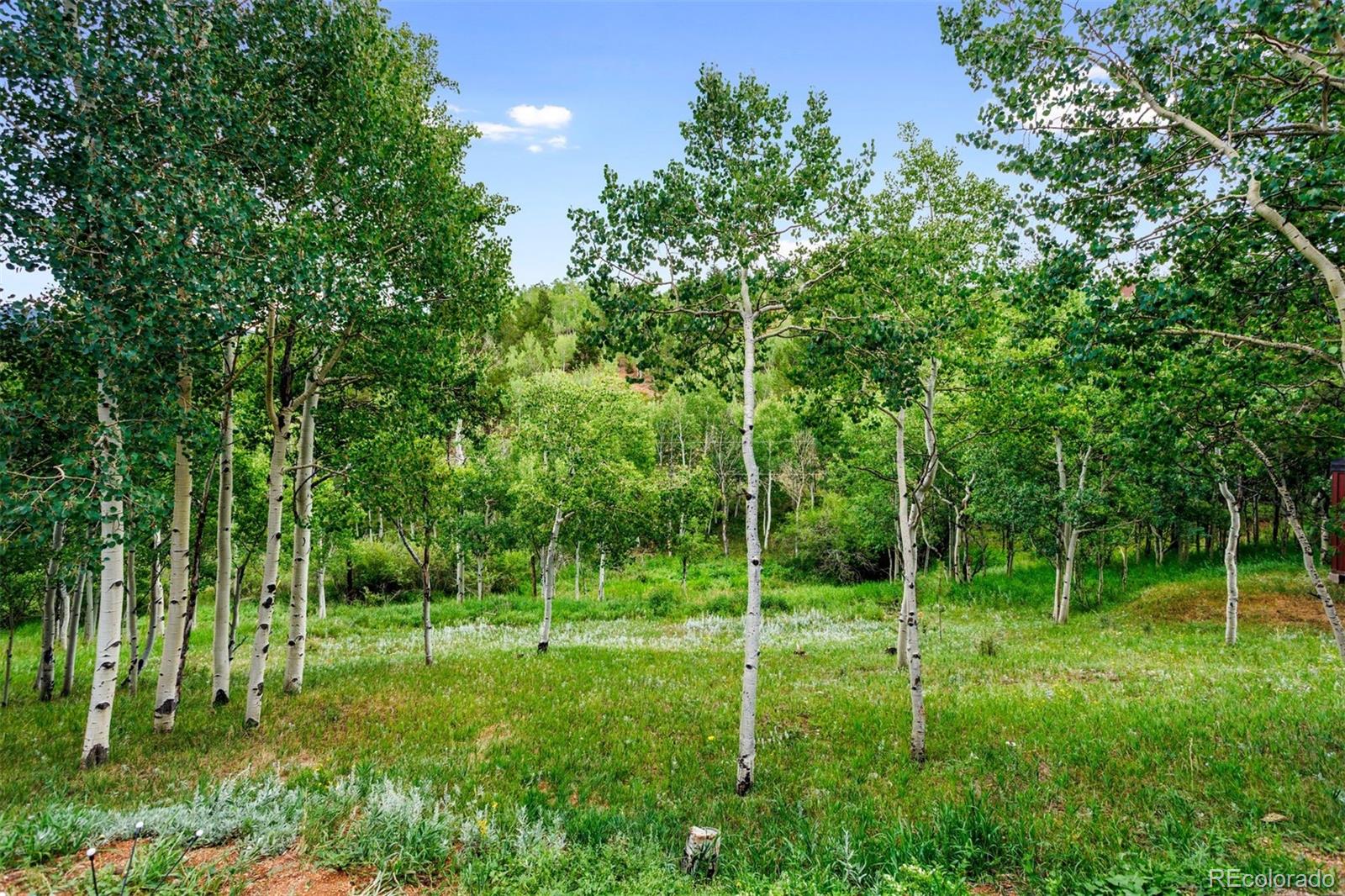 439 Aspen Drive