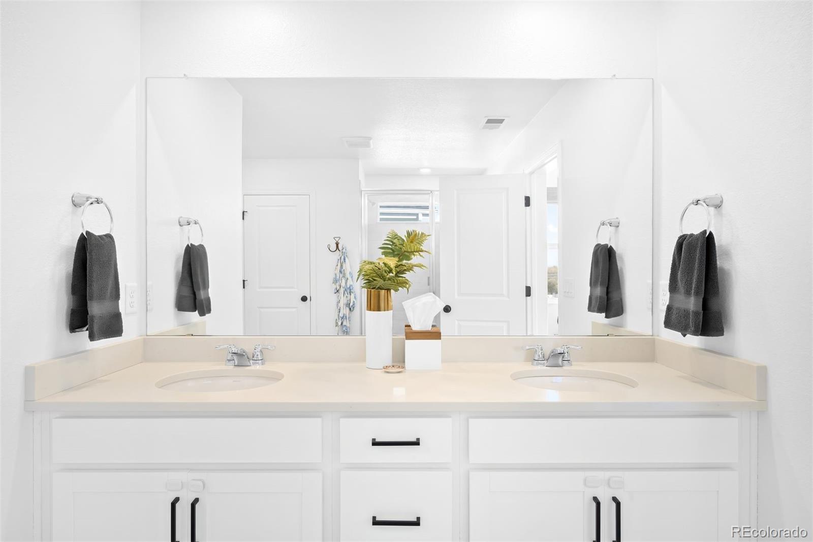 13273 Blue Amber Court