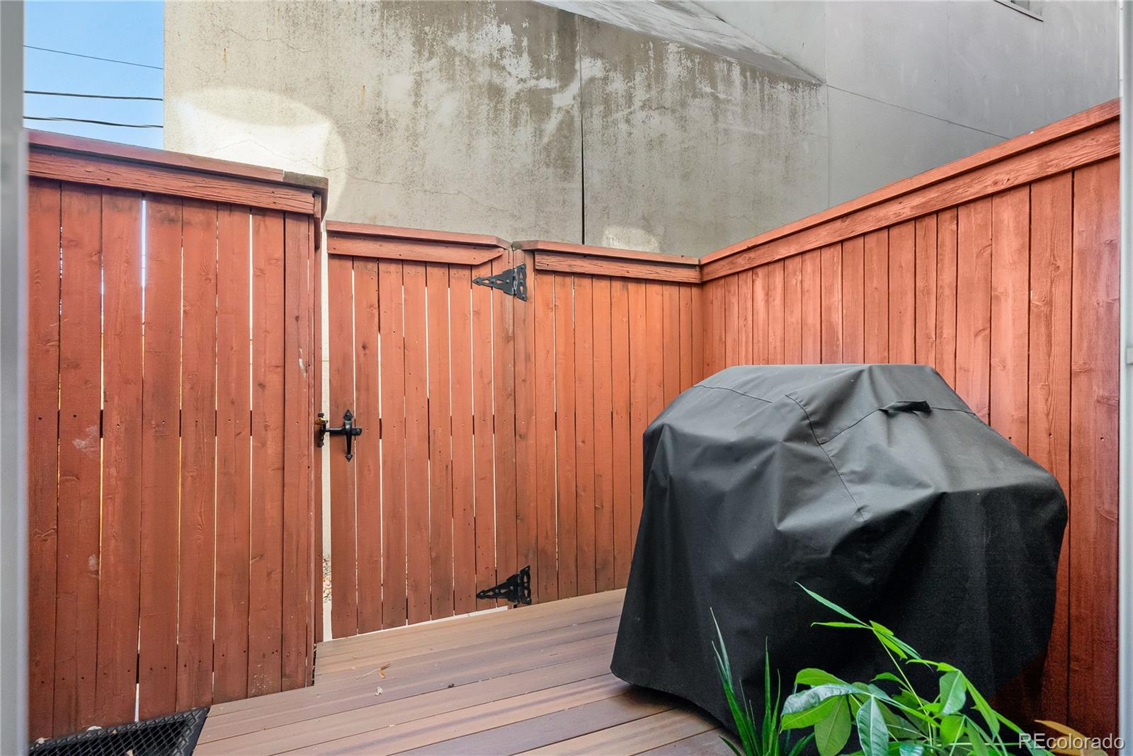 322 Steele Street
