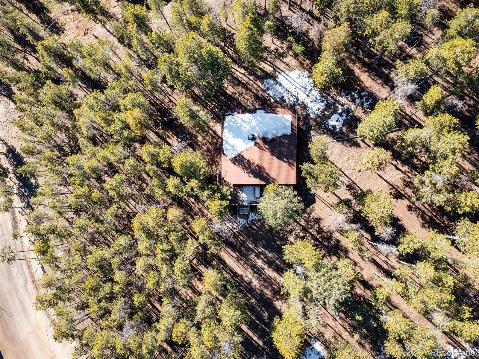 54 Cedar Road