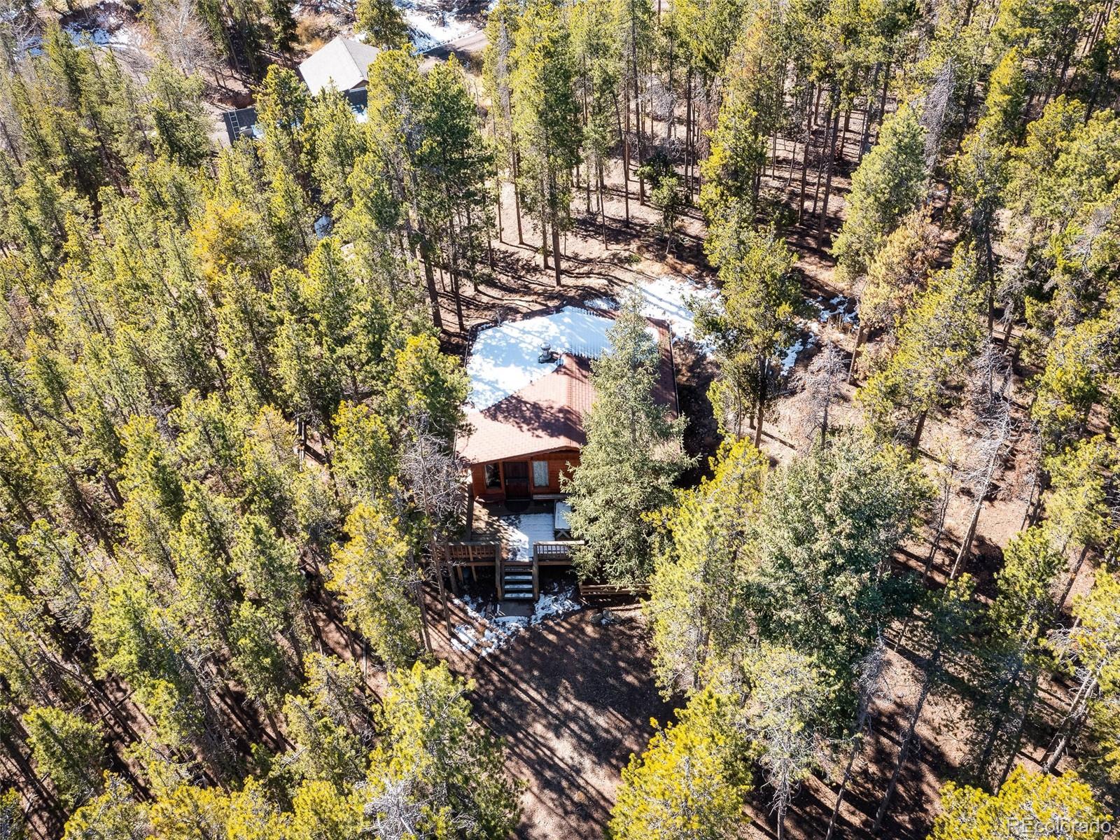 54 Cedar Road