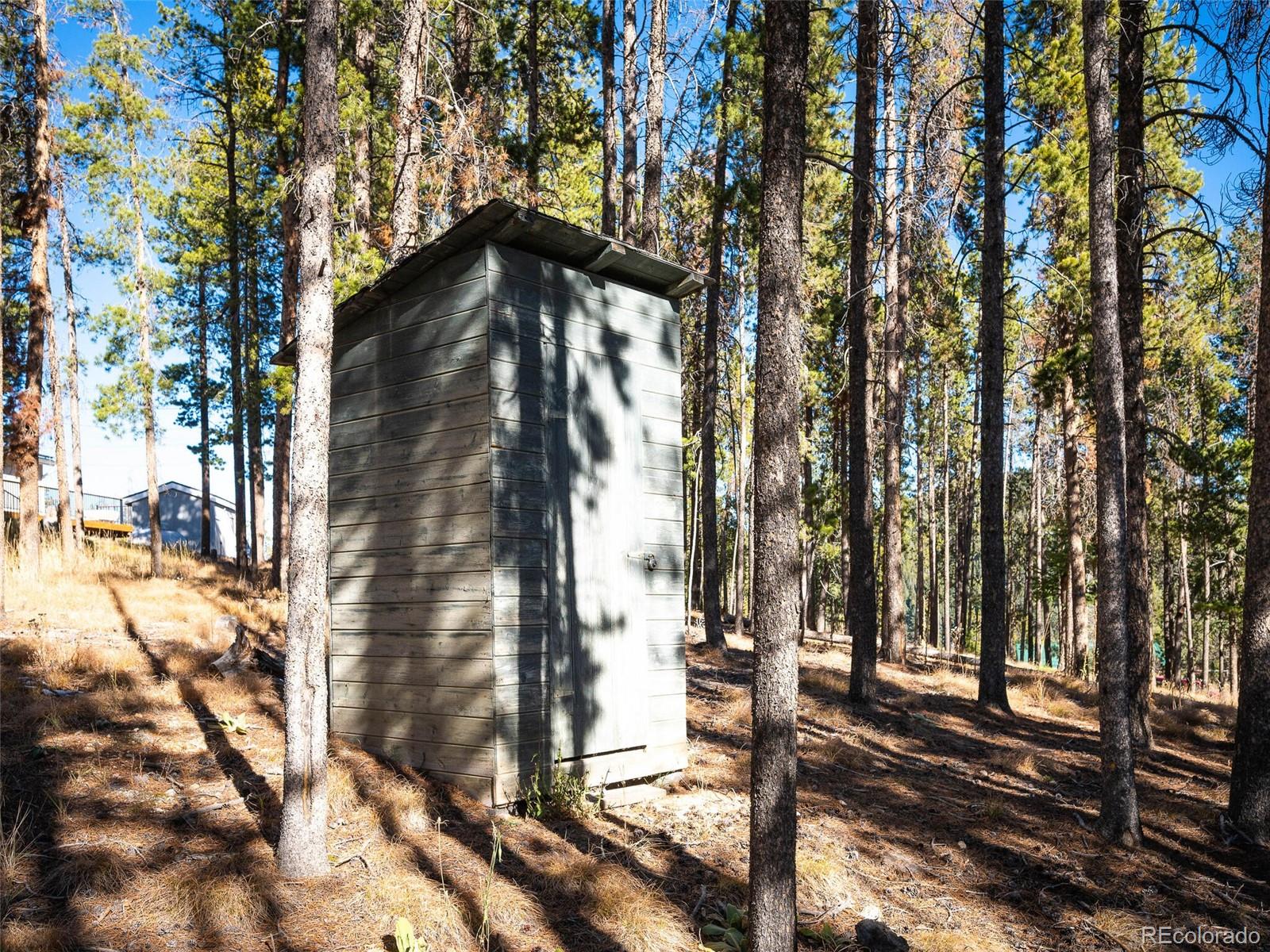 54 Cedar Road