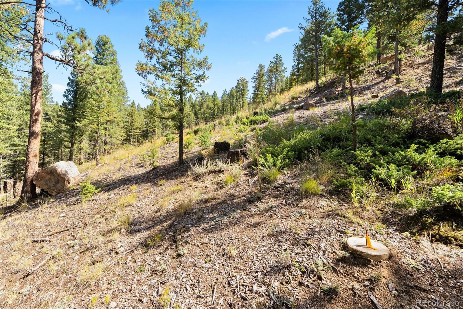 Lot 83 Conifer Drive
