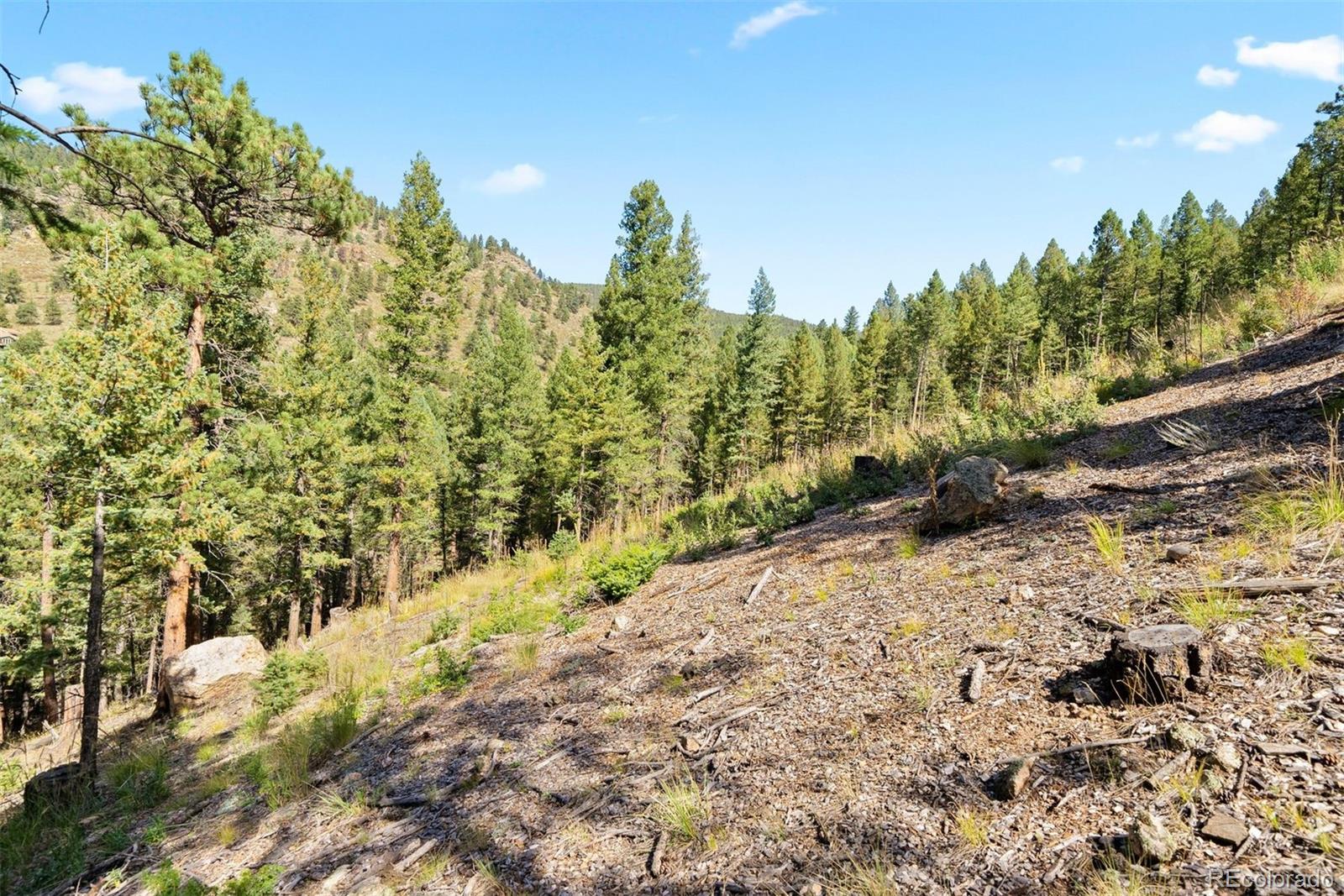 Lot 83 Conifer Drive