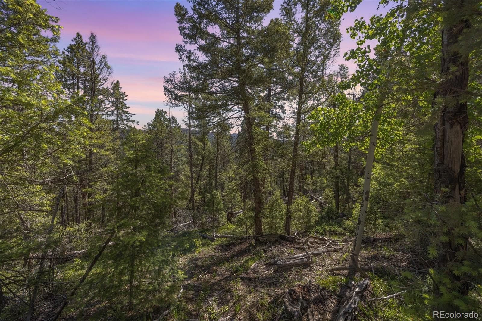 00 Ponderosa Drive