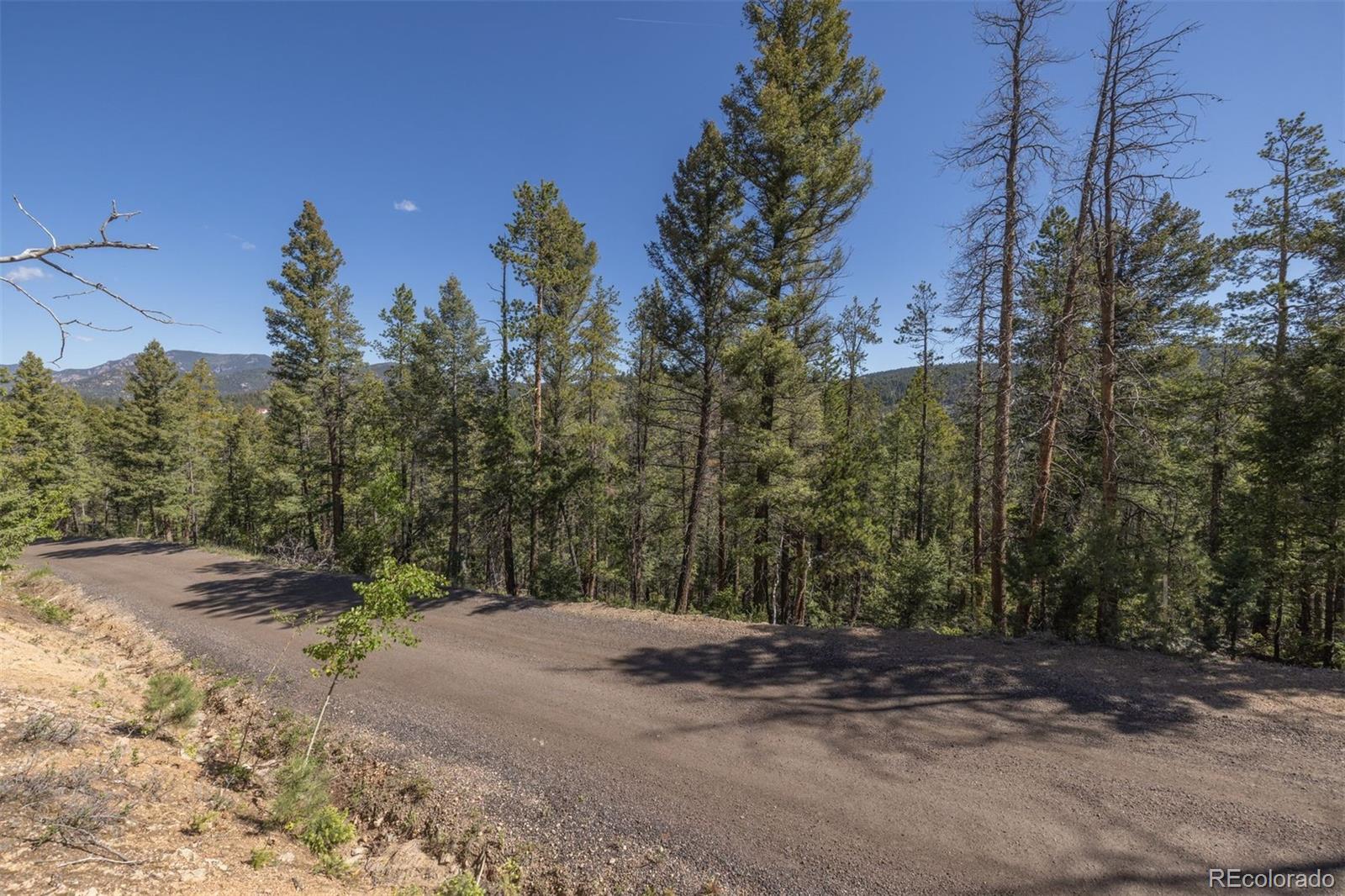 00 Ponderosa Drive