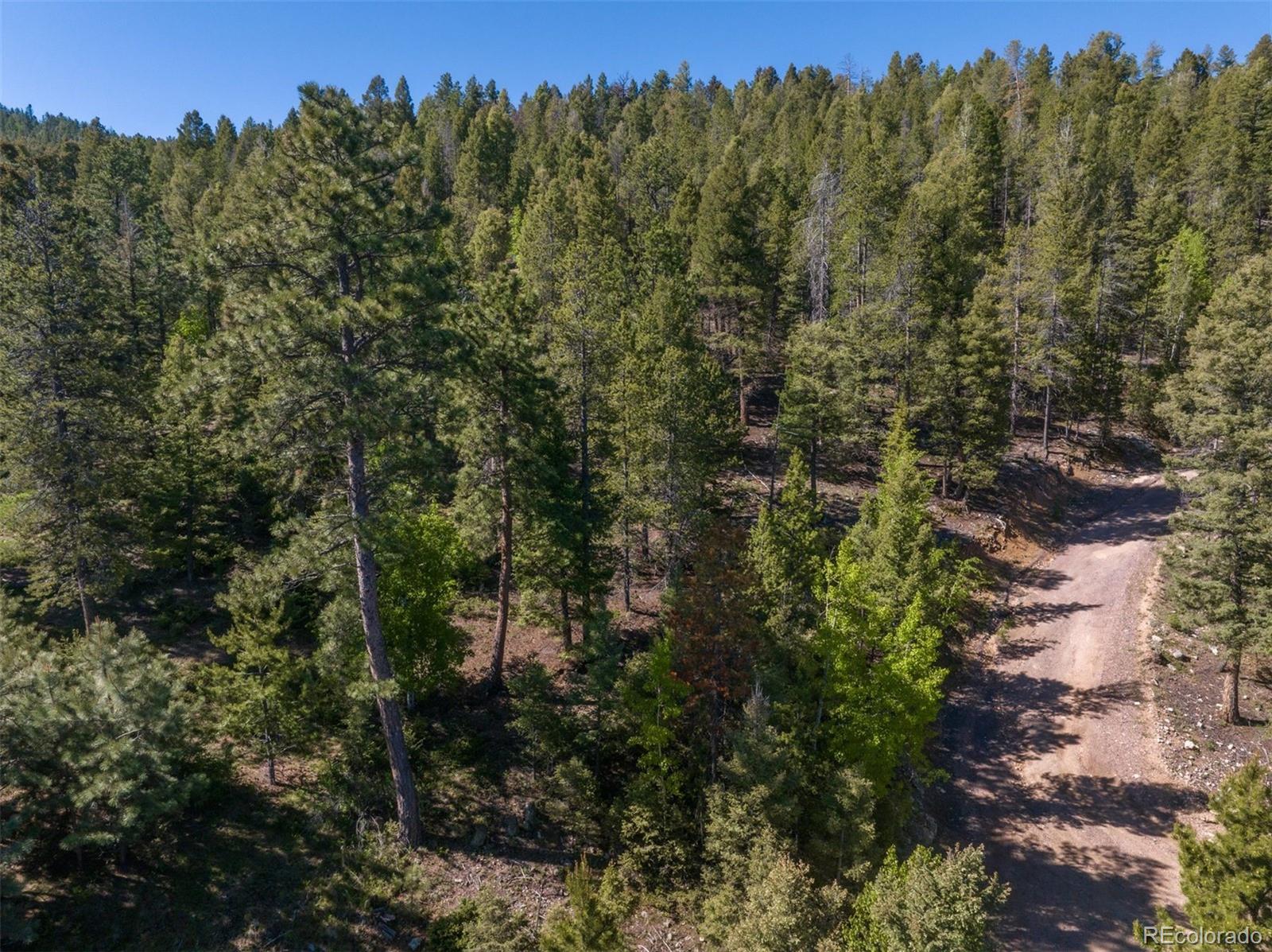 00 Ponderosa Drive