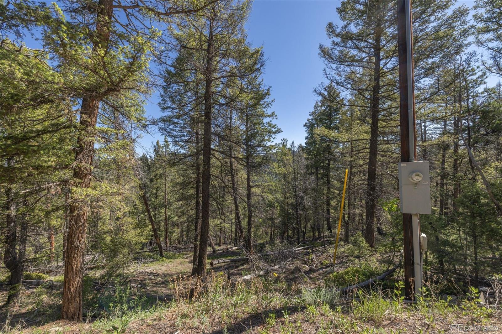 00 Ponderosa Drive