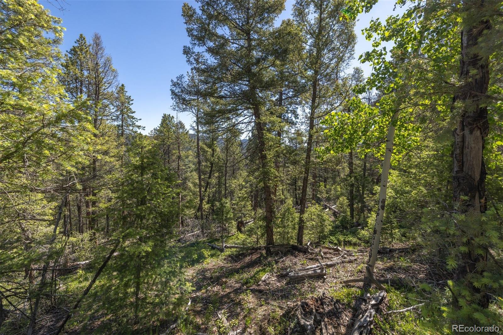 00 Ponderosa Drive