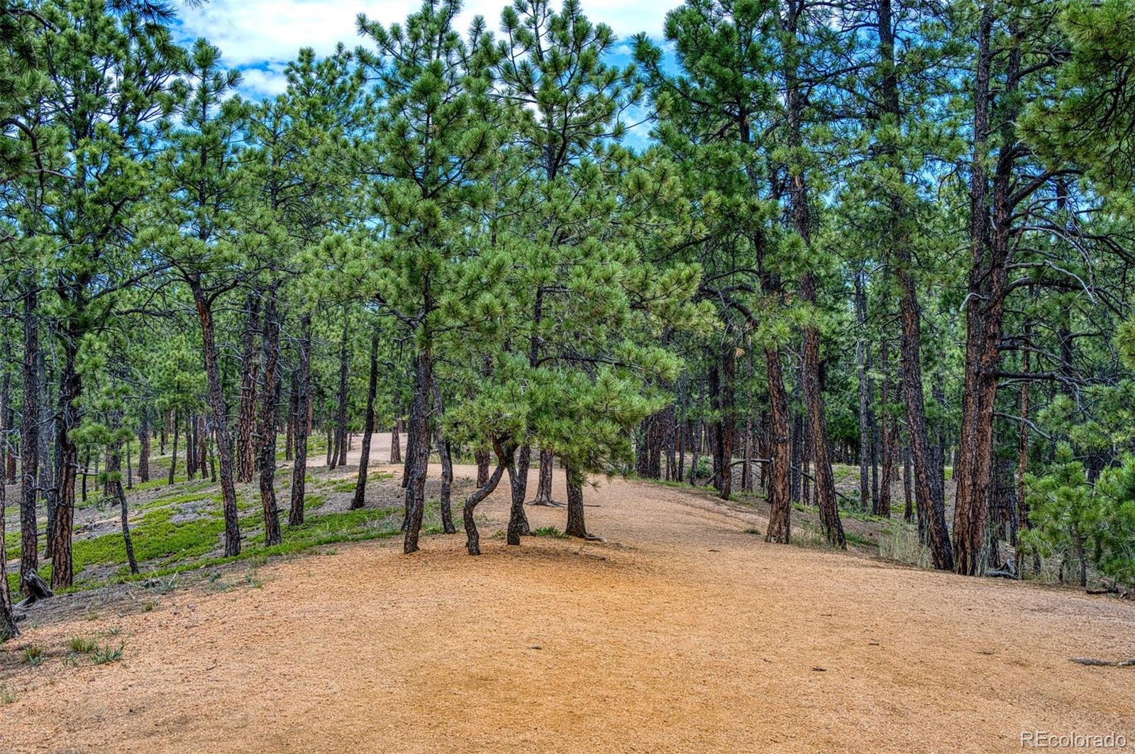 16477 Corkbark Terrace