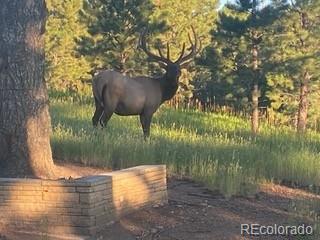 21967 Mountsfield Drive