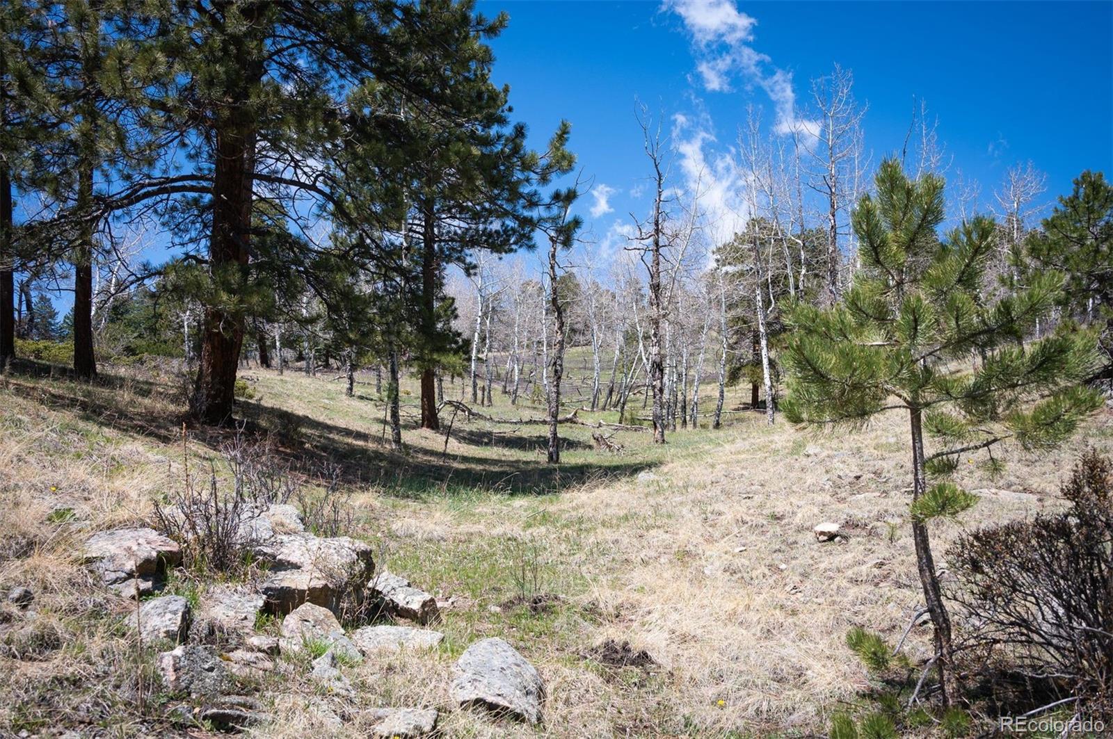 TBD Pine Valley Road
