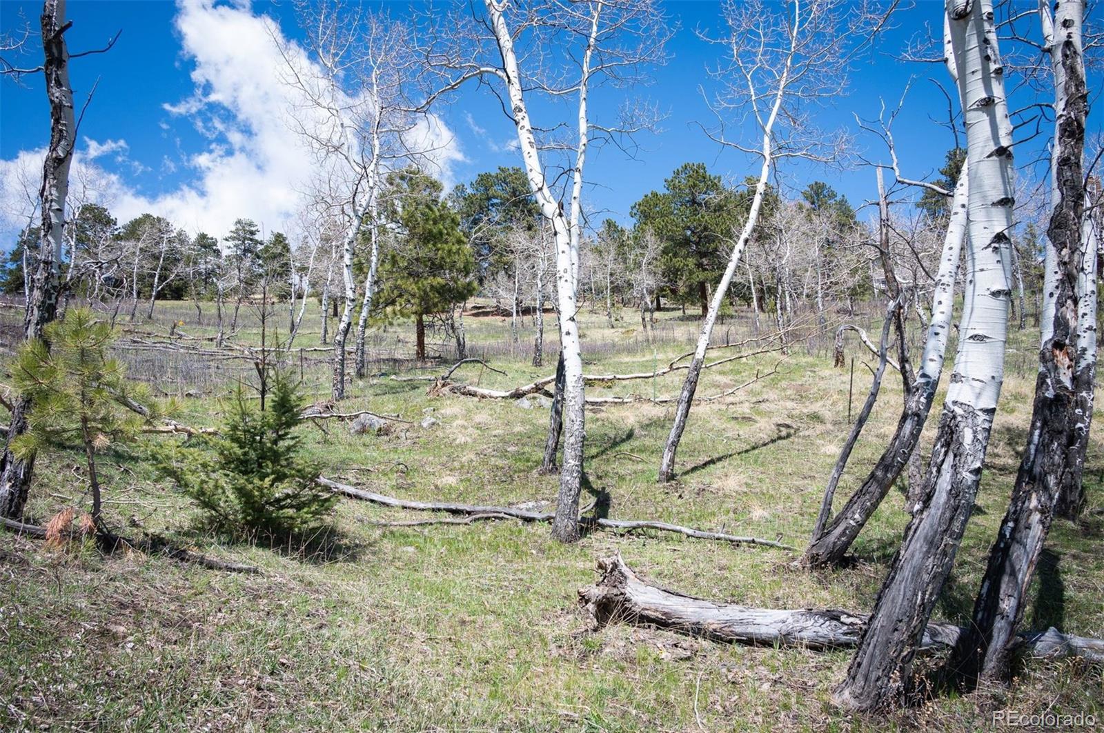 TBD Pine Valley Road