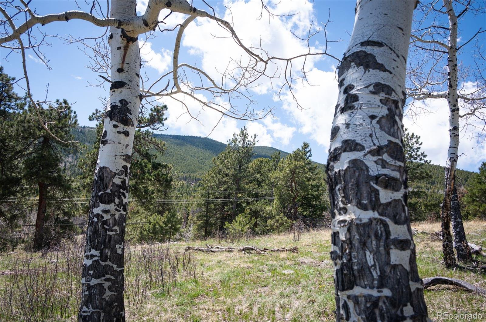 TBD Pine Valley Road