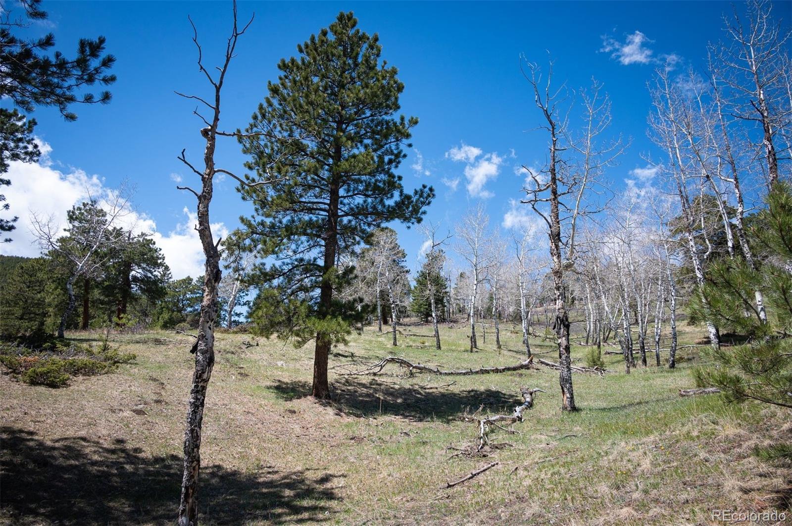 TBD Pine Valley Road