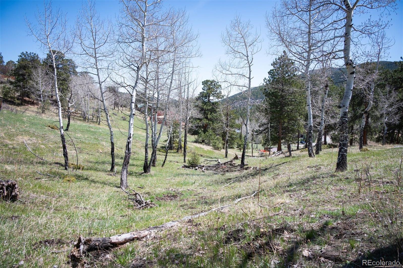 TBD Pine Valley Road