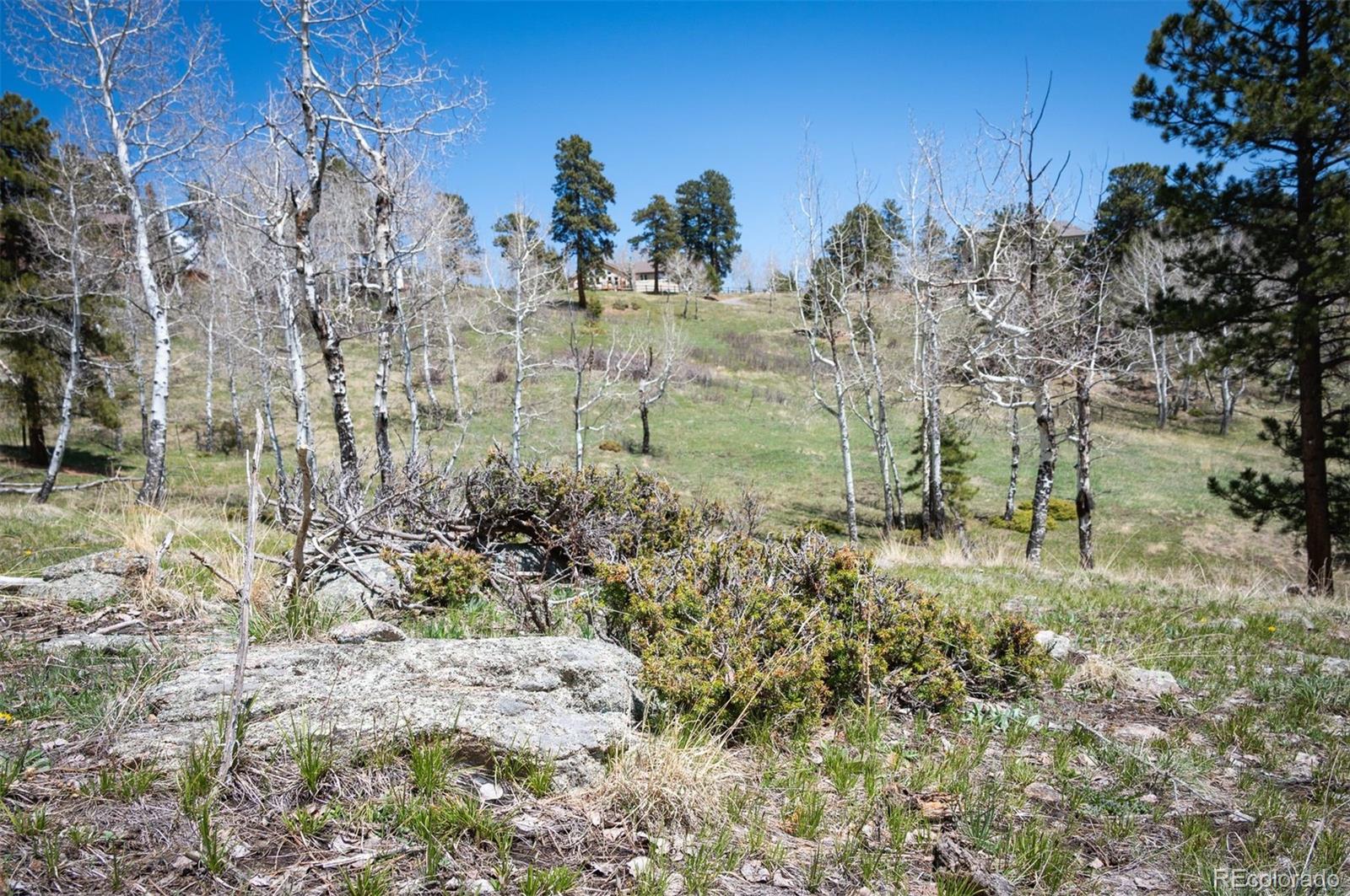 TBD Pine Valley Road