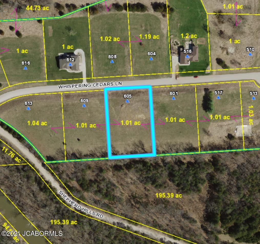 605 WHISPERING CEDARS LANE