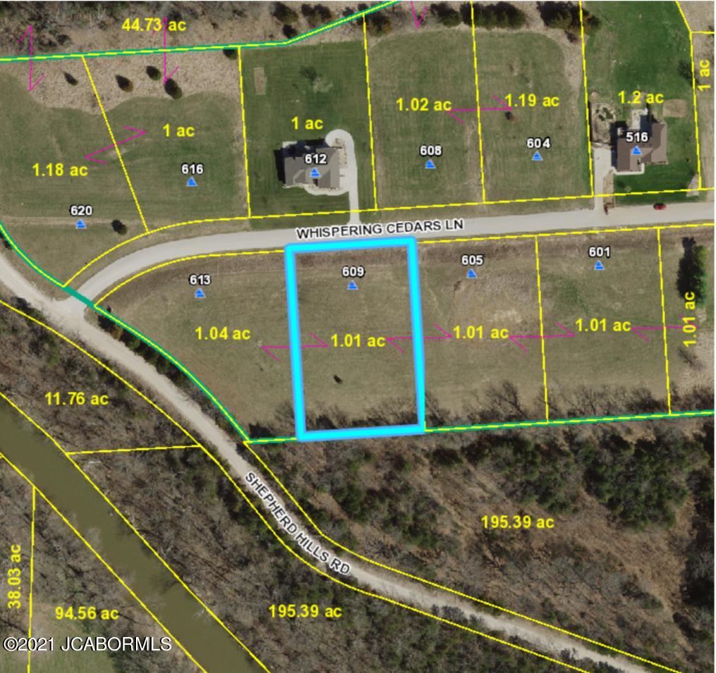 609 WHISPERING CEDARS LANE