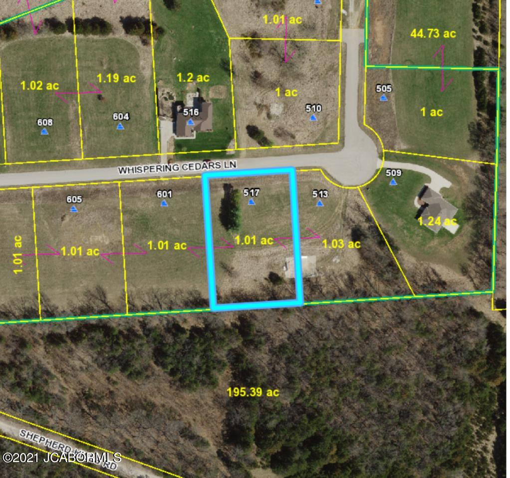 517 WHISPERING CEDARS LANE