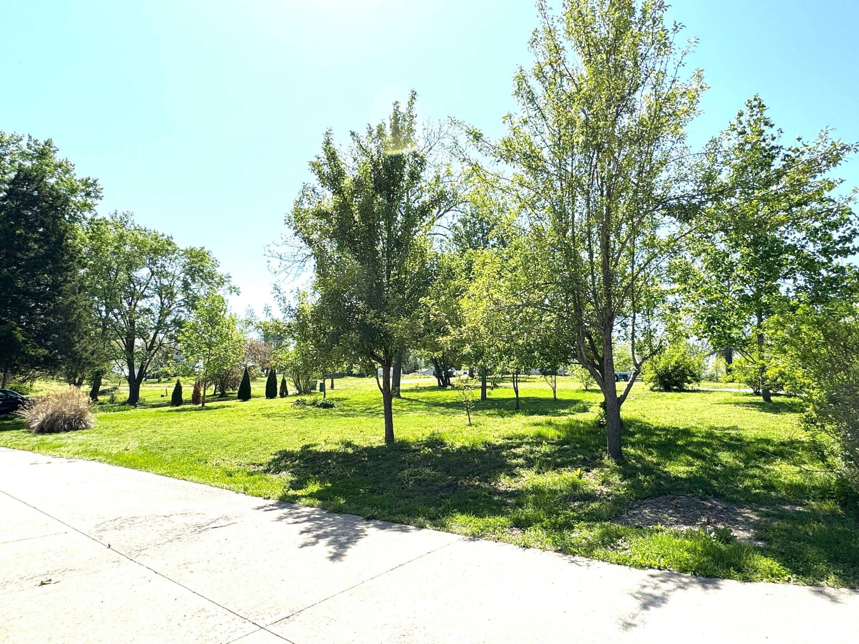 316 CAREL RD