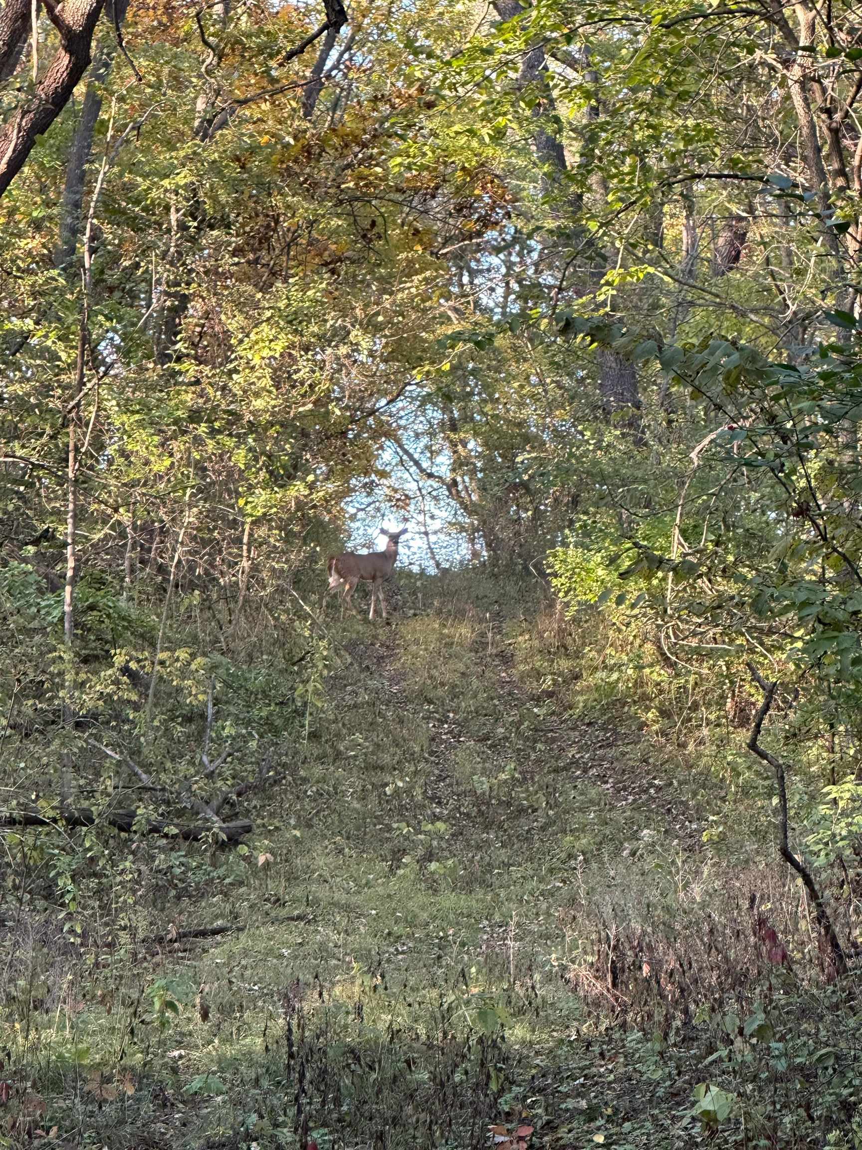 00 N River(40 acres MOL) Road