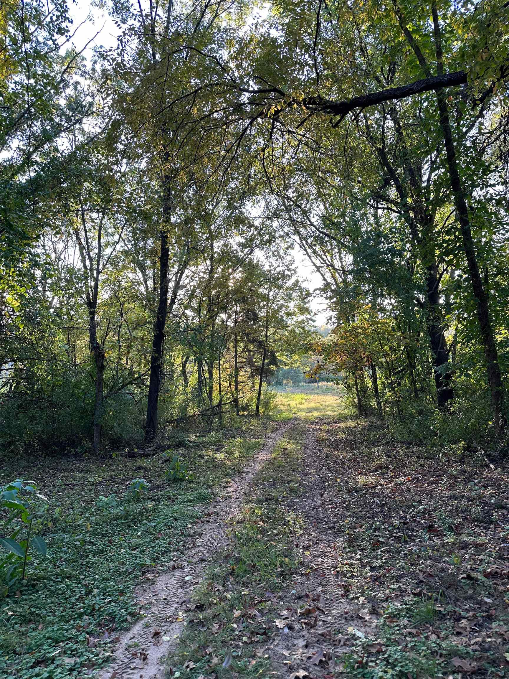 00 N River(40 acres MOL) Road