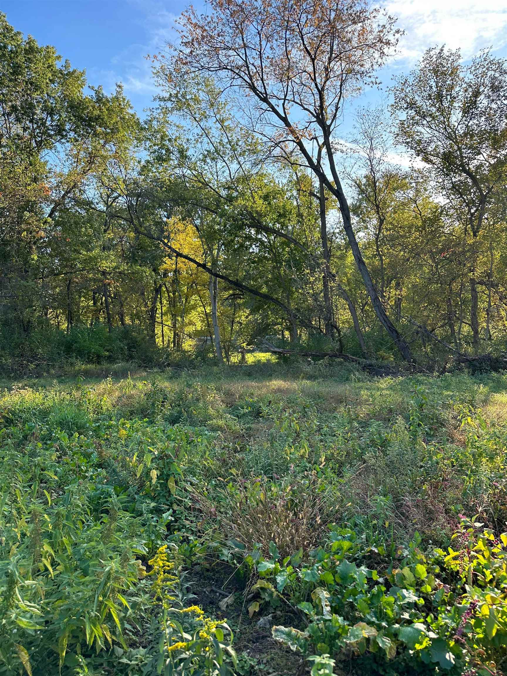 00 N River(40 acres MOL) Road